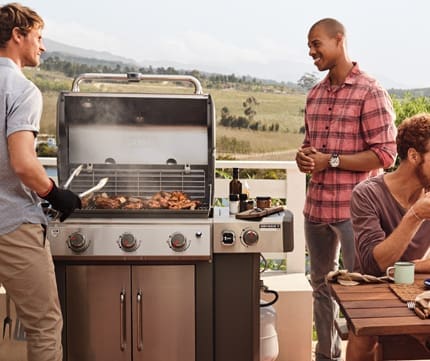 Weber Care