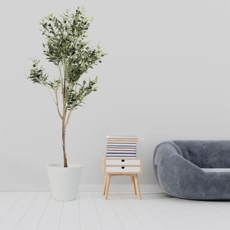 (P240810QS185) Lifestyle