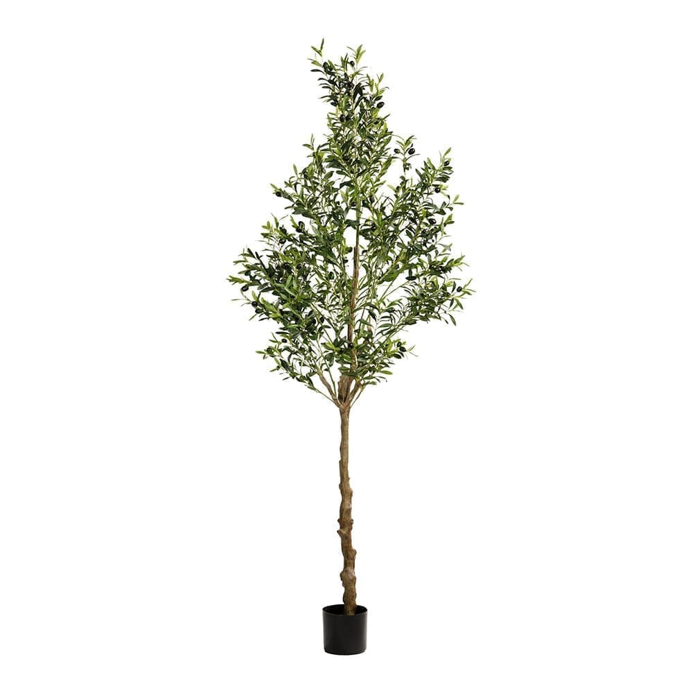 (P240810QS210)