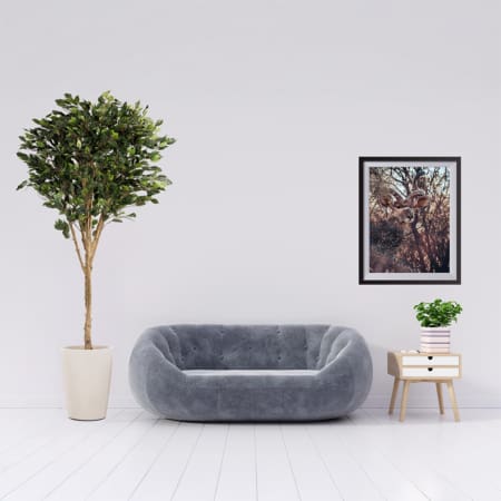 ZG167982814 Banyan 223cm Lifestyle