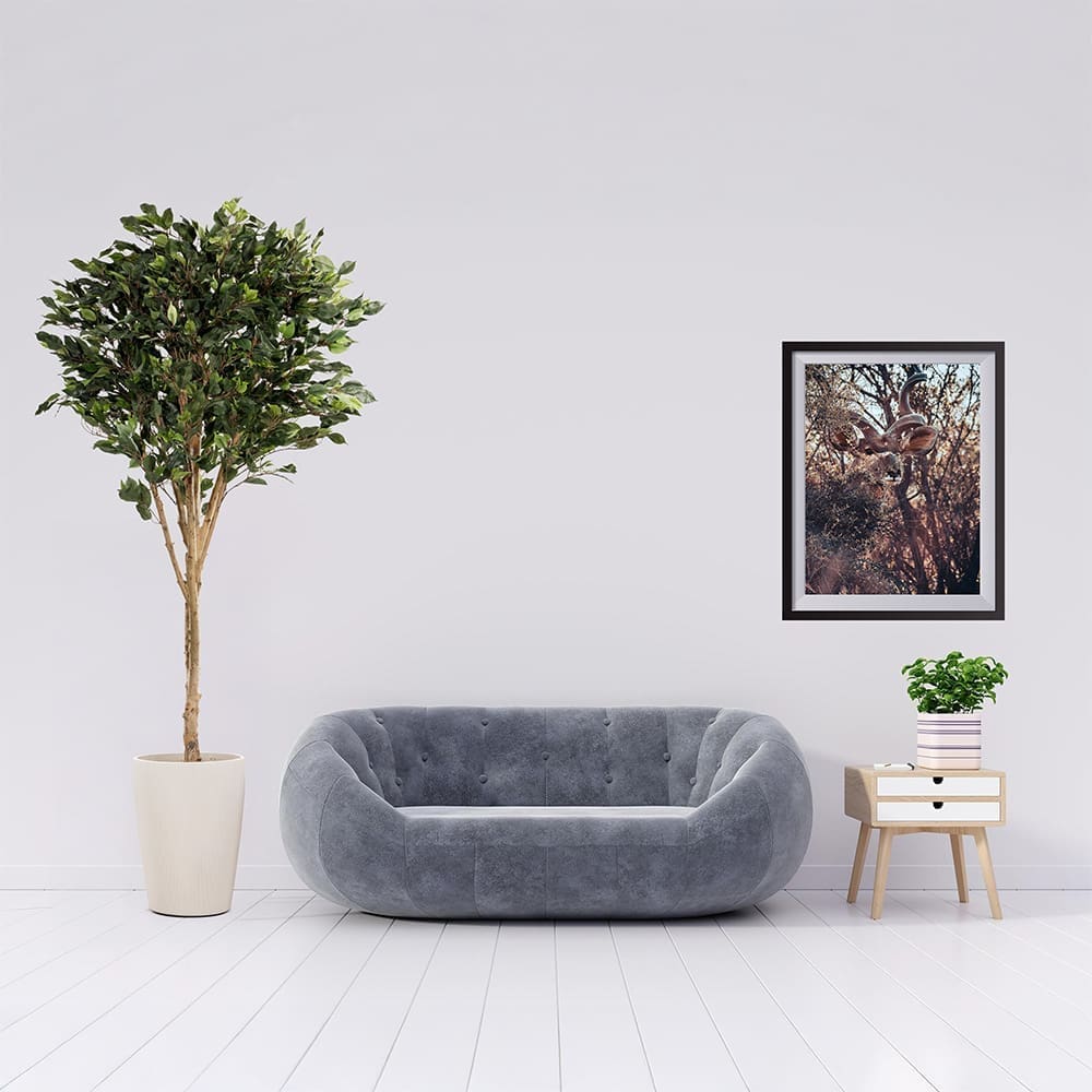 ZG167982814 Banyan 223cm Lifestyle
