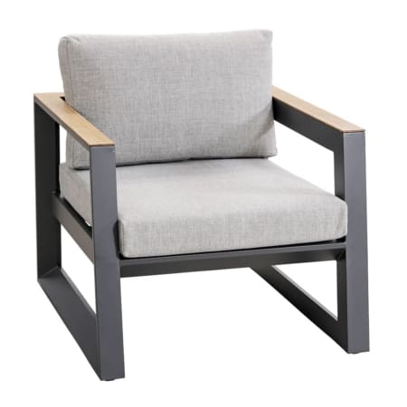 Alpha Lounge Chair (VB)