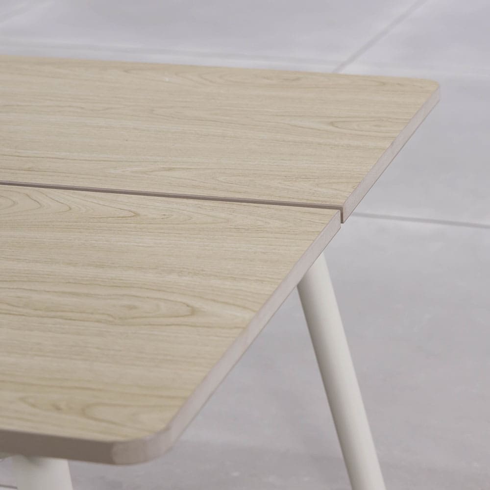 Aster Coffee Table Close Up 2 (VB)